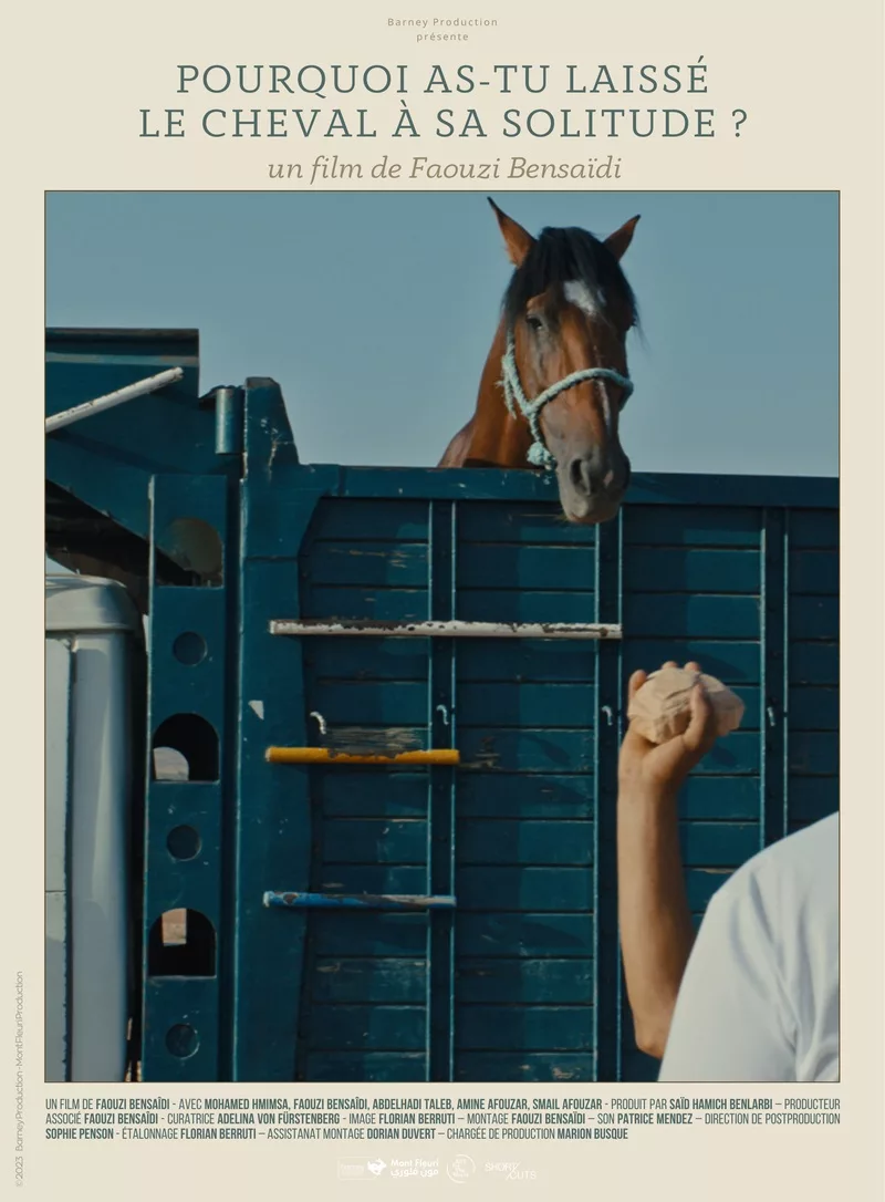 Affiche La Vénus au fil de fer