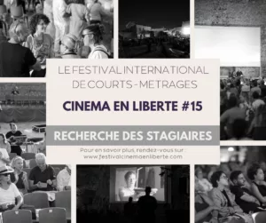 Appel à stagiaires // Festival Cinéma en Liberté 2026