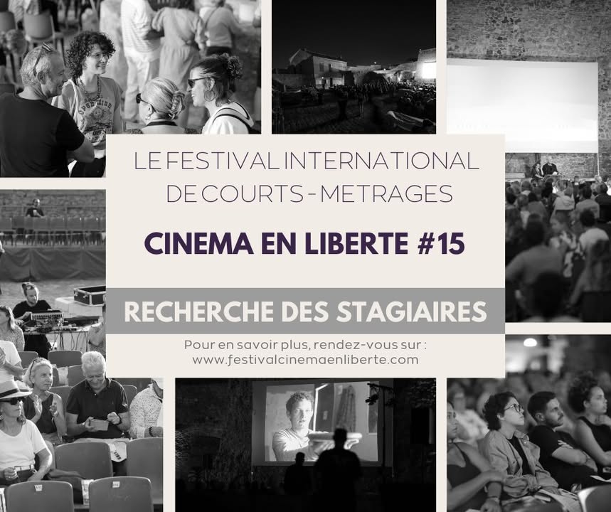 Festival cinéma en liberté
